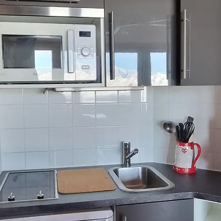 Confortable Au Pied Des Pistes, Balcon, Animaux Admis - Fr-1-181-2562 公寓 拉普拉涅